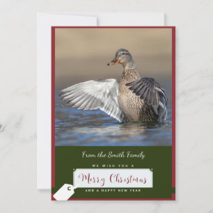 Mallard Duck num Cartão de Natal