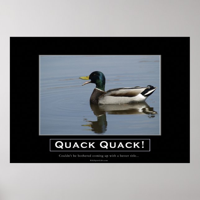Mallard Duck - Poster de Desativação (Frente)