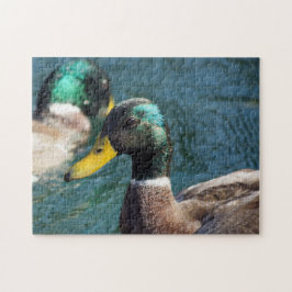 Mallard Duck Quebra-cabeça