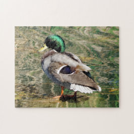 Mallard Duck Quebra-cabeça
