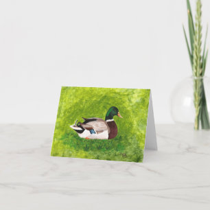 Mallard Duck Sentado em Cartões Saudáveis