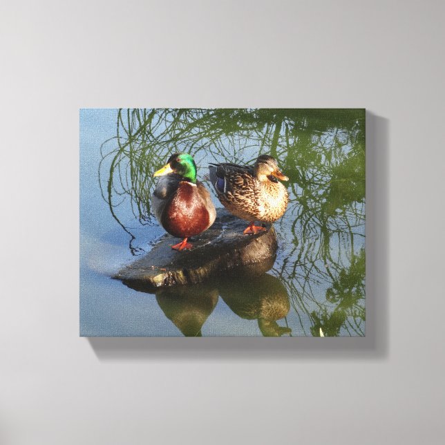 Mallard Ducks nº 2 Canvas (Frente)