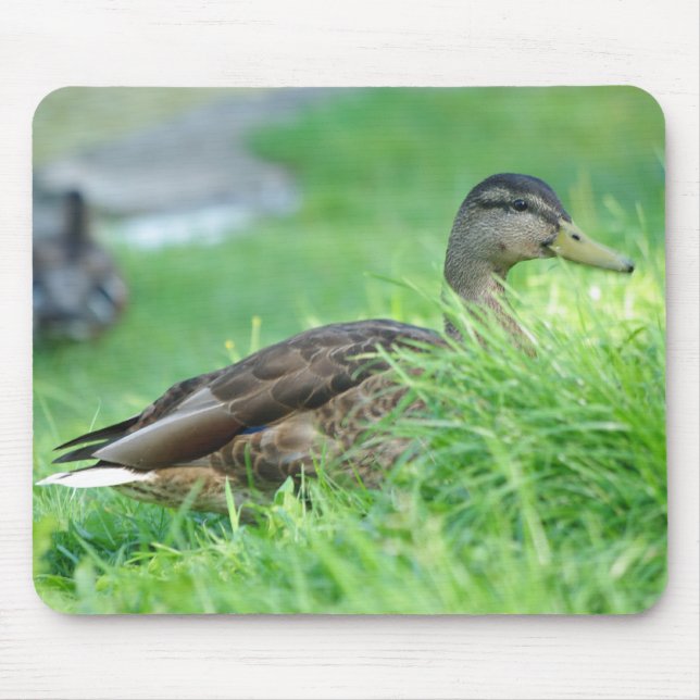 Mallard Mousepad (Frente)