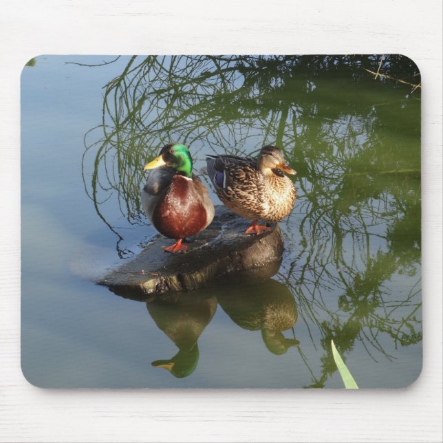 Mallard Pad nº 2 Mouse Pad (Frente)