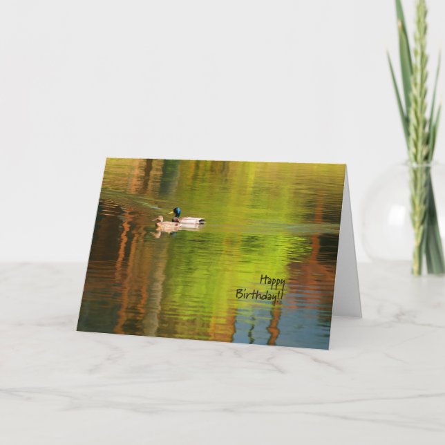 Mallard Pair - Cartão de Aniversário (Frente)