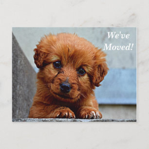 Maltês, mudamos o novo cartão postal de endereço