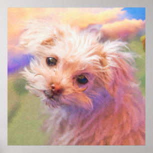 Maltês Rescut Puppy Day 1 "THE WEE ONE" Poster