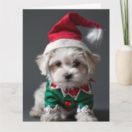 Maltês Terrier Elf Puppy Cartão de Natal