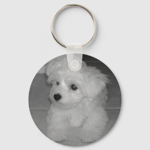Maltipoo Chaveiro