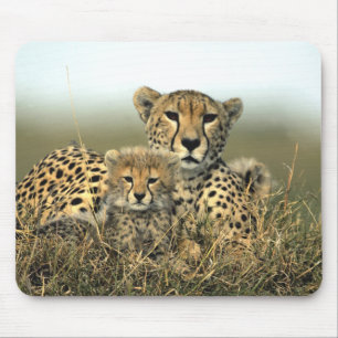Mamã da chita e Cub Mousepad