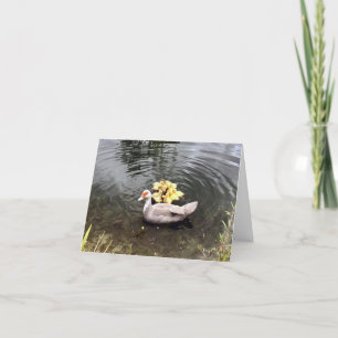 Mamãe Duck com Cartões de agradecimentos dobrado