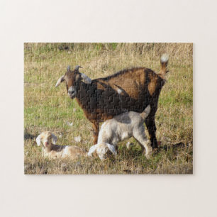 Mamãe e Baby Goats Quebra-cabeça