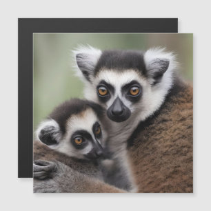 Mamãe E Lemur Bebês Tendo Uma Boca,