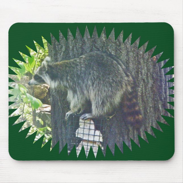 Mamãe Raccoon em Suet Mousepad (Frente)