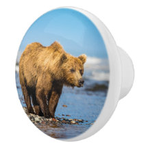 Mamãe urso observando seus dois filhos