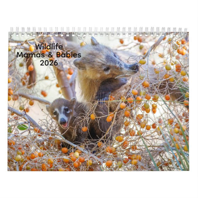 Mamas & Little Ones: Um Calendário de Vida Selvage (Capa)