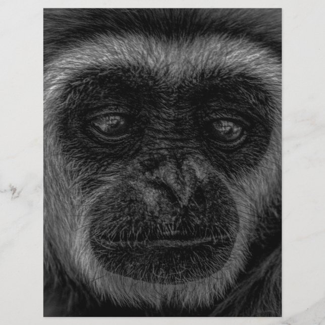 Mamífero da indonésia de Gibbon (Frente)