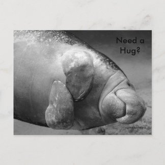 Manatee BW0196 "Precisa de um Hug?" Cartão Postal