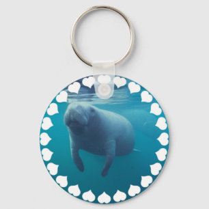 Manatee Chaveiro