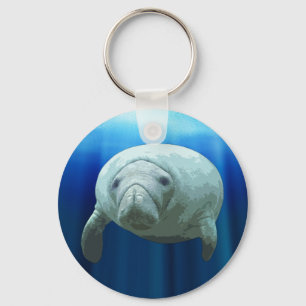 Manatee Chaveiro