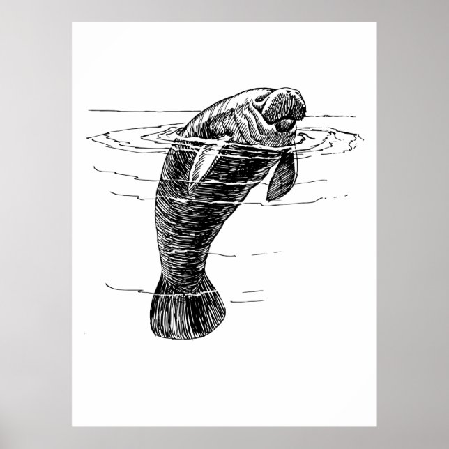 Manatee poster (Frente)