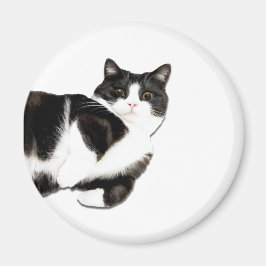 Manchester é "Oi!" Íman