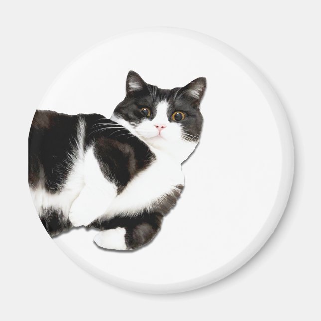 Manchester é "Oi!" Íman (Frente)