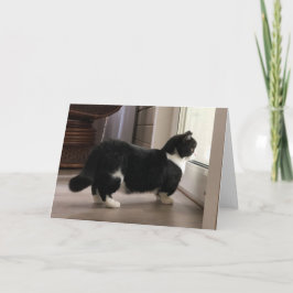 Manchester é um cartão de espera