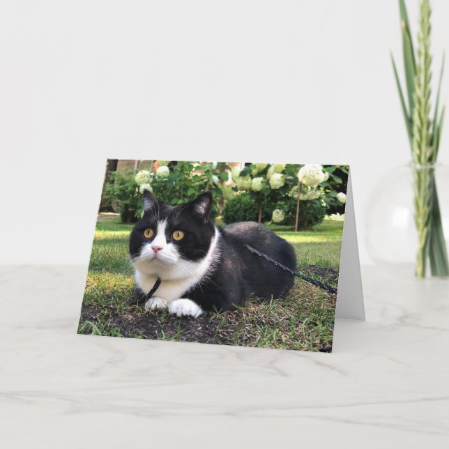 Manchester no cartão natural (Frente)