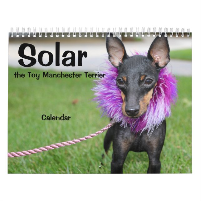 Manchester Terrier Médio 2021 Calendário A (Capa)