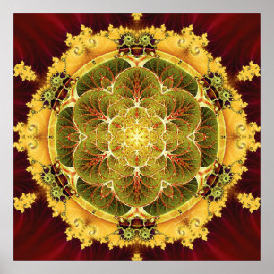 Mandalas para o Poster de Tempos de Transição 8