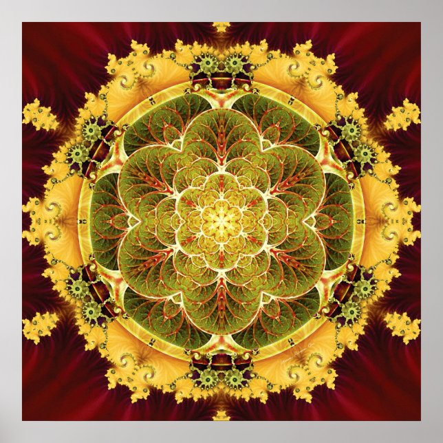 Mandalas para o Poster de Tempos de Transição 8 (Frente)