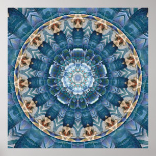 Mandalas por épocas do poster da transição 2