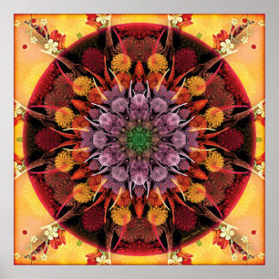 Mandalas por épocas do poster da transição 6