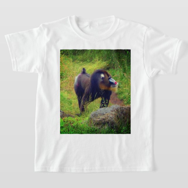 Mandrill #2 T-Shirt (Postura )