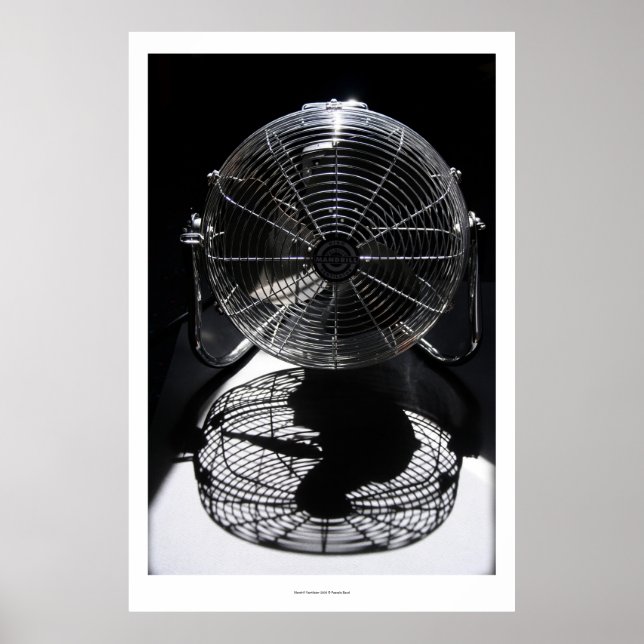 Mandrill Fan BW Still Life Fotografia L Poster (Frente)