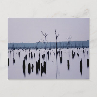 "Manhã de luto" - Cartão postal