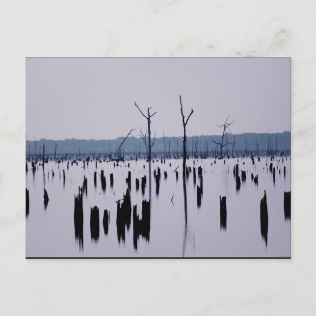 "Manhã de luto" - Cartão postal (Frente)