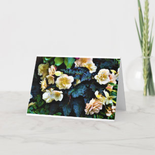 Manhã de mascar, cartão