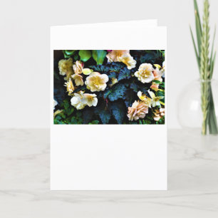 Manhã de mascar, cartão