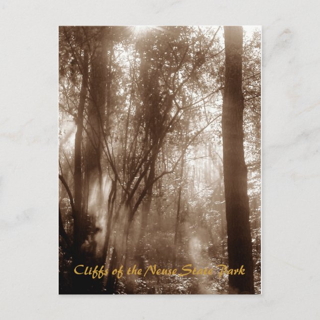 Manhã místico CN1 - cartão (Frente)