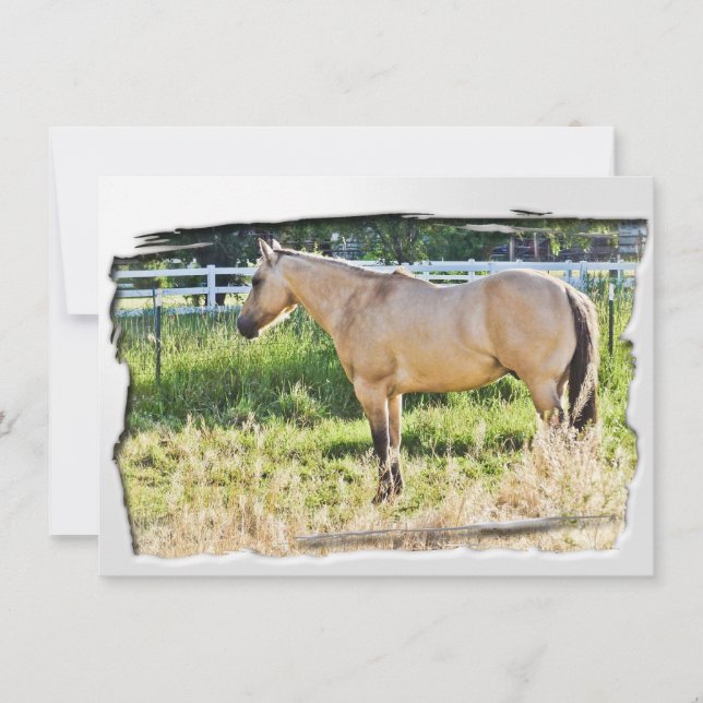 Manhã Pontilhada por Sol com Quadro Branco (Frente)
