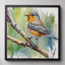 Manhã, Song robin pintando muralha