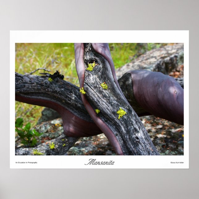 Mansanita Impressões (Frente)