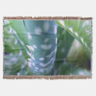 Manta Aloe, Vista de Inseto
