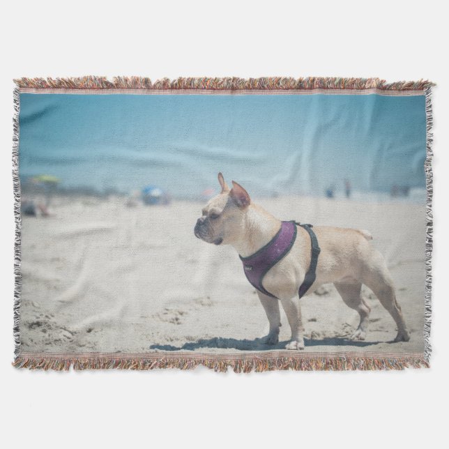 Manta Buldogue francês na praia (Frente)