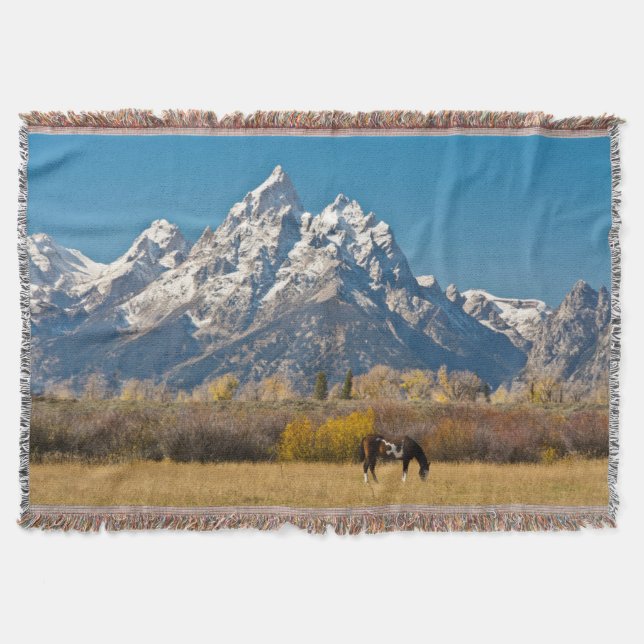 Manta Cavalo e Grand Tetons, Moose Head Ranch (Frente)
