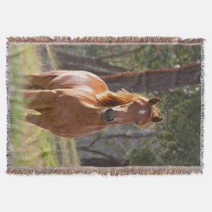 Manta Cavalo nas madeiras