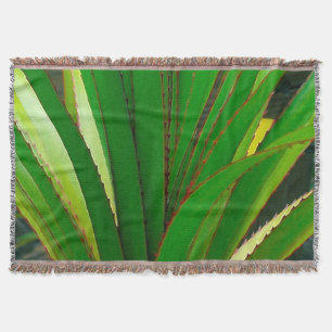 Manta Encosto do parafuso