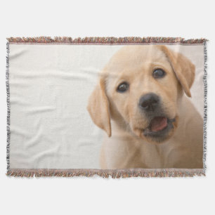 Manta Filhote de cachorro dourado de Labrador